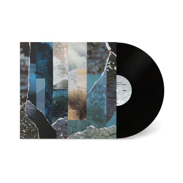 Cremation Lily  Dreams Drenched in Static  LP Supply - Image 5