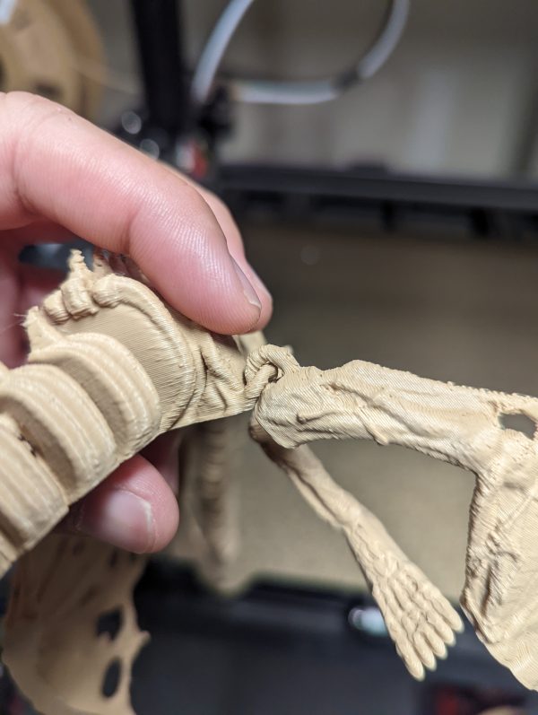 Flexi Bone Dragon Fashion - Image 3