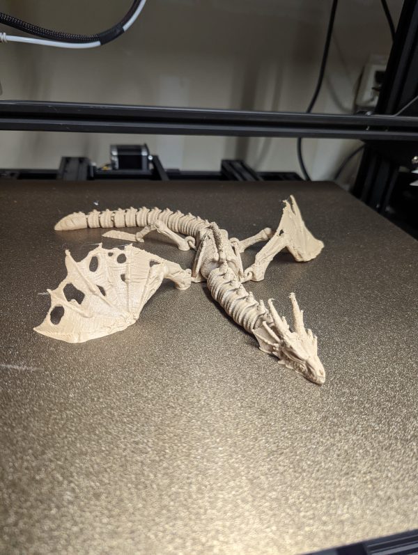 Flexi Bone Dragon Fashion